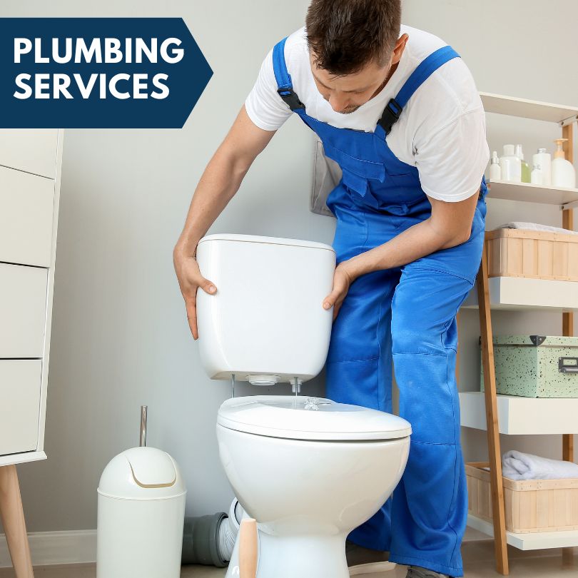 Plumbing Company in Robins, IA